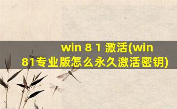 win 8 1 激活(win81专业版怎么永久激活密钥)